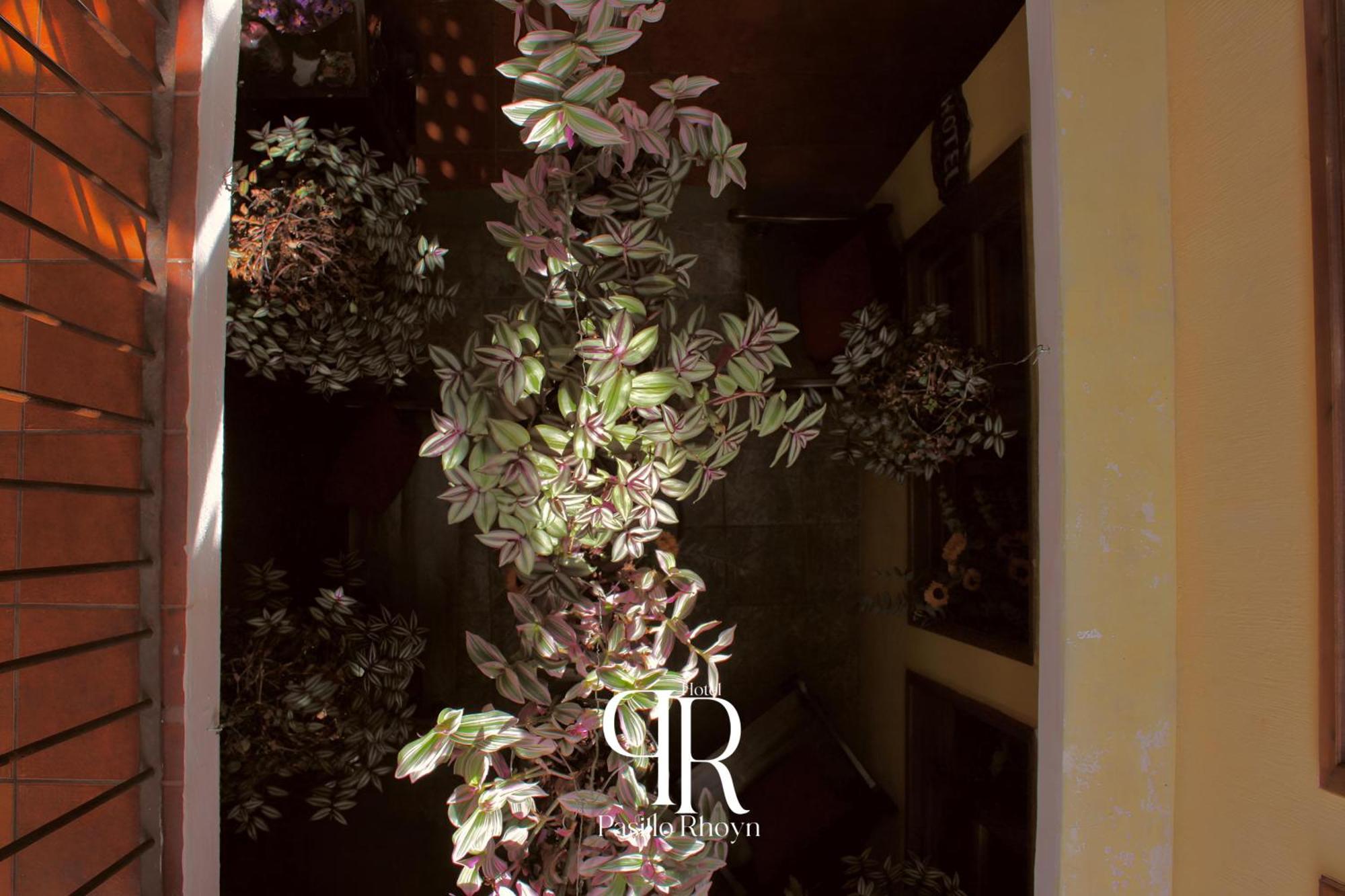 Hotel Rholyn Pura Vida !! Antigua Εξωτερικό φωτογραφία