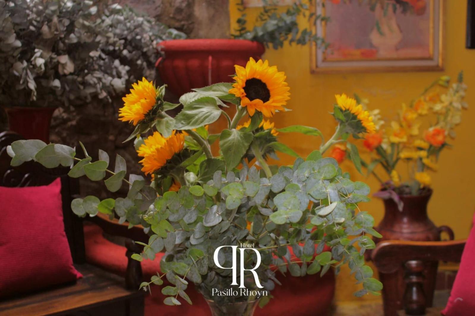 Hotel Rholyn Pura Vida !! Antigua Εξωτερικό φωτογραφία
