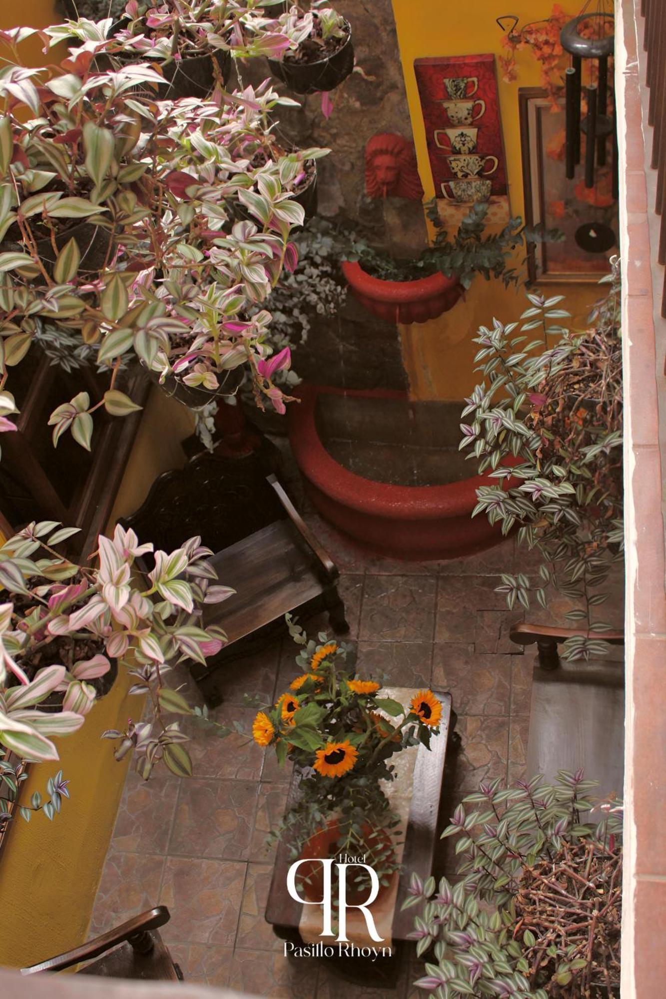 Hotel Rholyn Pura Vida !! Antigua Εξωτερικό φωτογραφία